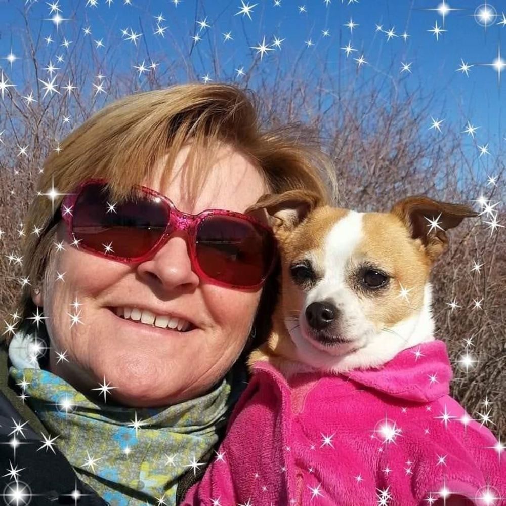 Meet your Posher, Jodi daizy